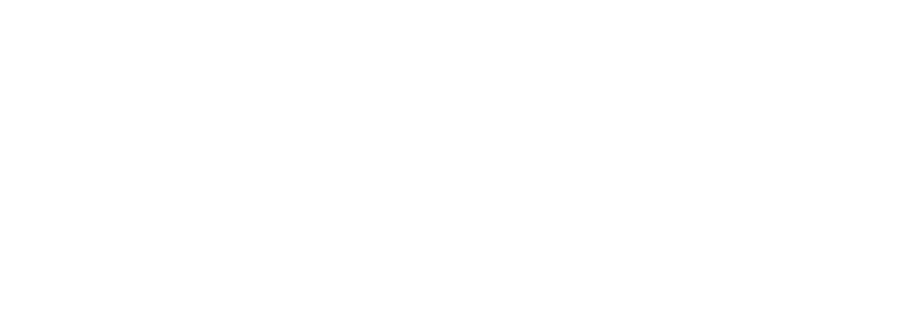 Ronitry logo